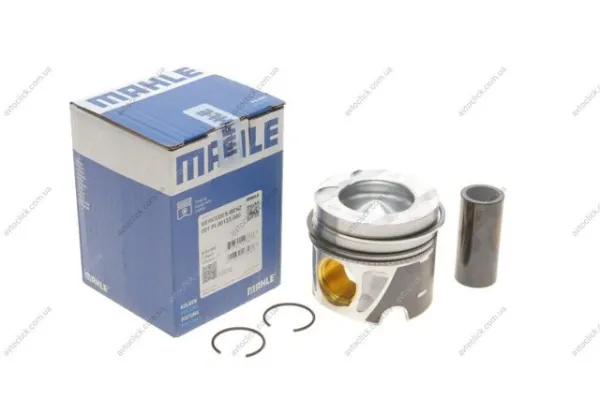 Поршень на 1 цилиндр 001PI00133000 Mahle Original
