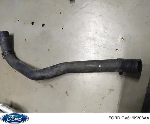  GV619K308AA Ford