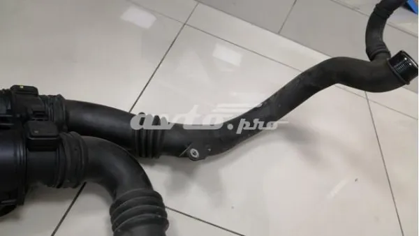  C2C27742 Jaguar