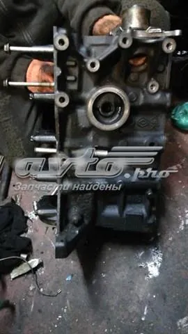 Блок цилиндров двигателя 110103691R Renault (RVI)