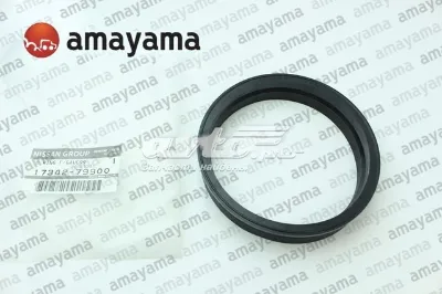 Прокладка датчика уровня топлива /топливного насоса (топливный бак) NISSAN 1734279900