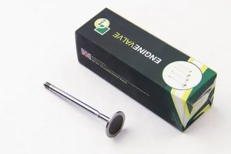 Впускной клапан V165060 BGA