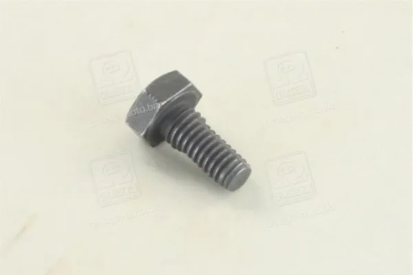 Болт крепления форсунки 2433456034 Bosch