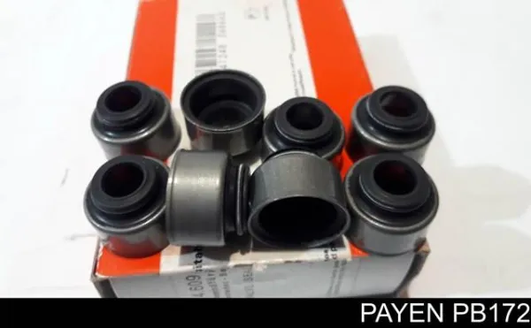 Сальник впускного клапана PB172 Payen