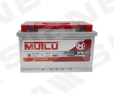 Аккумулятор сигнеда 80 А/ч 12 В (AH78MZEM)