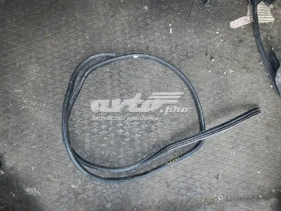 Уплотнитель двери задней левой (на кузове) HYUNDAI 831102T000