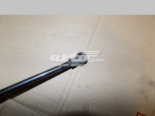 Амортизатор багажника 844309Y000 Nissan/Infiniti