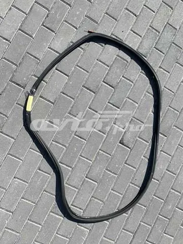 Уплотнитель двери задней левой (на кузове) VAG 5G9867913A