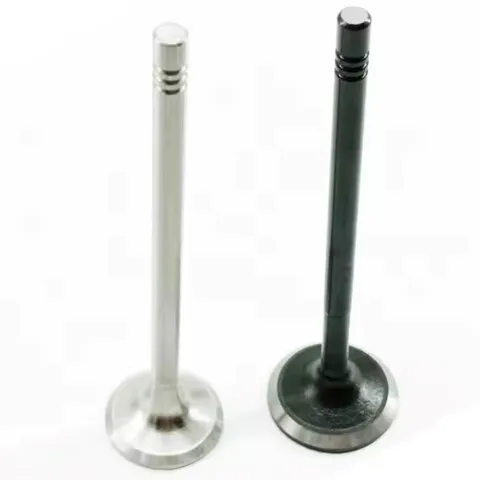 Выпускной клапан двигателя Renault (RVI) 132025379R цена, от