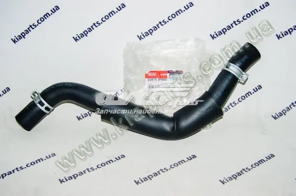  254153F600 Hyundai/Kia