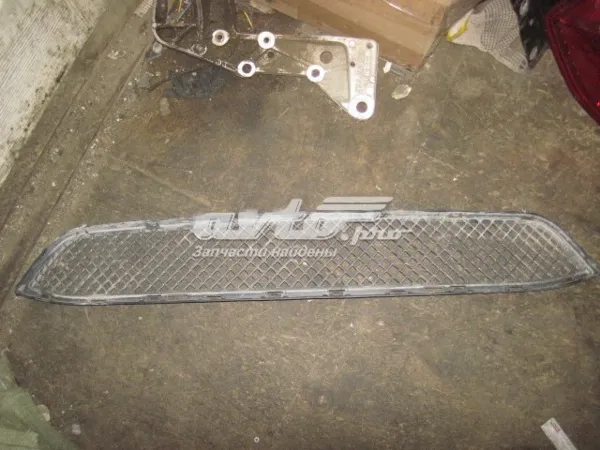 Решетка бампера переднего центральная 51117303752 BMW