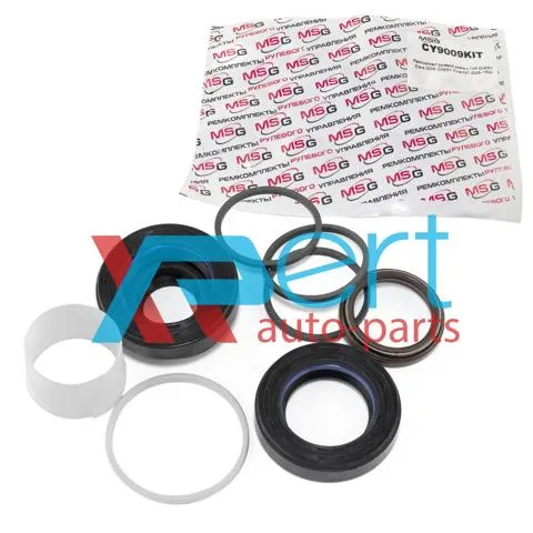  CY9009KIT MSG