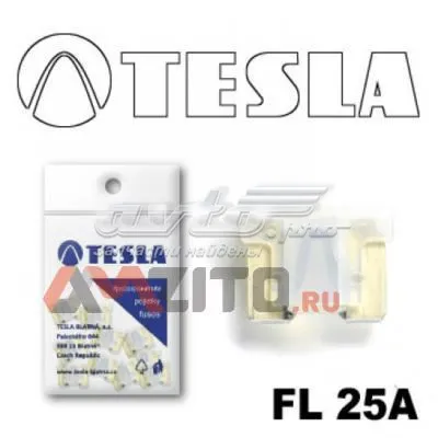  FL25A Tesla