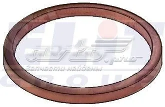 Кольцо (шайба) форсунки инжектора посадочное Cargo 080761 цена, от