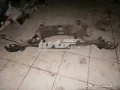 Подрамник задний Mercedes E S124