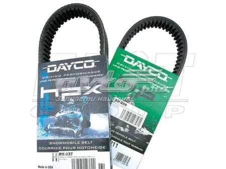  8247 Dayco