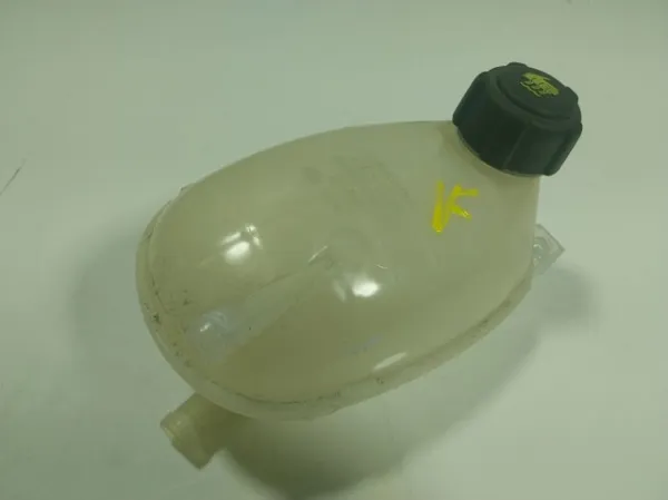 Бачок системы охлаждения 217102572R Renault (RVI)