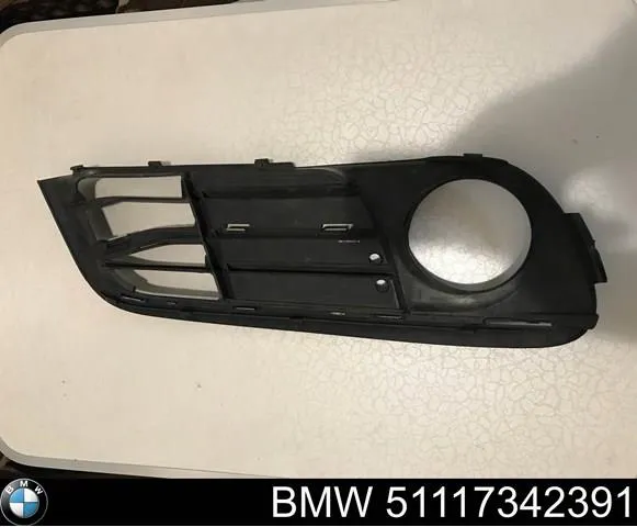  51117342391 BMW