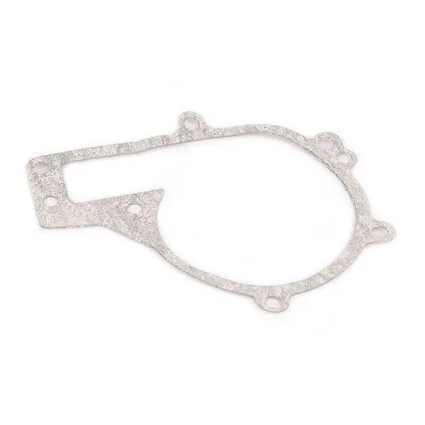 Прокладка водяной помпы 484FC1307041 Chery
