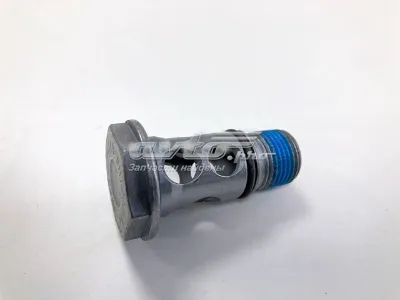 Топливный перепускной клапан (болт банджо) VAG WHT000494