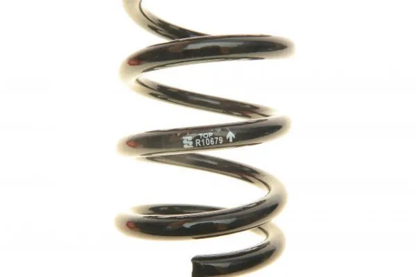 Задняя пружина R10679 Eibach