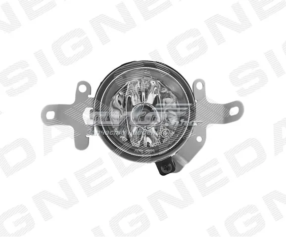  ZMB2053L Signeda