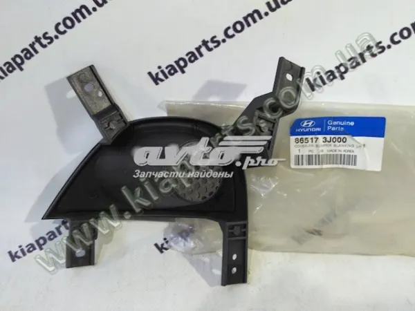  865173J000 Hyundai/Kia