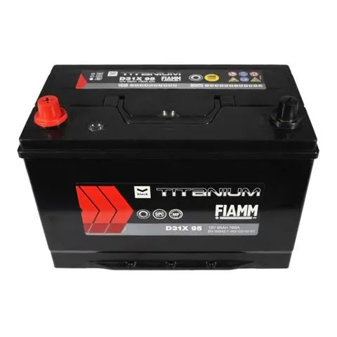  7905195 Fiamm