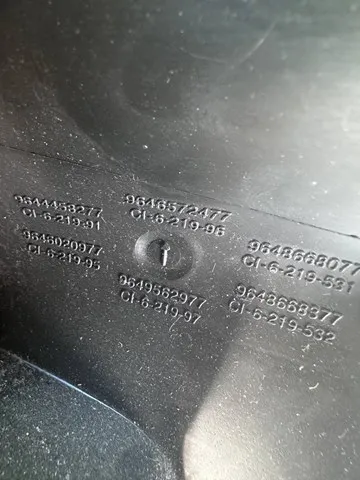  9646572477 Peugeot/Citroen