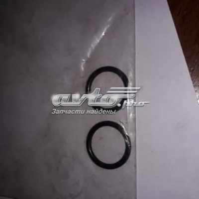 Кольцо уплотнительное топливной трубки VAG WHT001965
