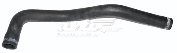 Нижний шлаг радиатора охлаждения 1312378080 Fiat/Alfa/Lancia