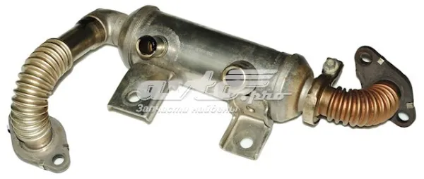  4M5Q9F464BB Ford