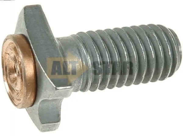  SP3019P AS/Auto Storm