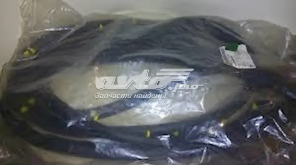 Уплотнитель двери передней правой (на двери) 96585721 General Motors