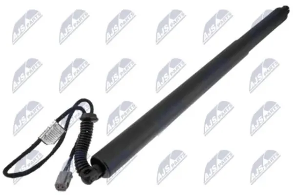 Амортизатор багажника AEFR081 NTY