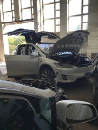 Tesla MODEL X внедорожник (2015 - 2025)  L2S