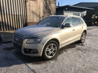 Audi Q5 внедорожник (8RB) (2008 - 2016)  CPMB