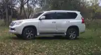 Lexus GX 460 внедорожник (J15) (2009 - 2025)  1UR-FE