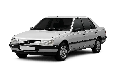 Разборка Peugeot 309