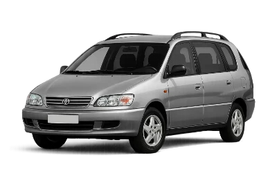 Шрот Toyota Picnic