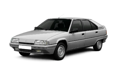 Шрот Citroen BX
