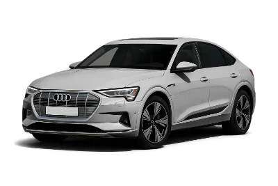 Шрот Audi E-TRON