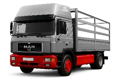 Разборка MAN F в Украине