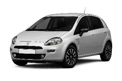 Разборка Fiat Punto в Украине