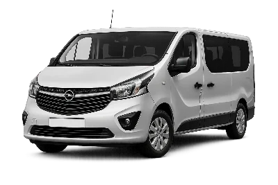 Разборка Opel Vivaro в Украине