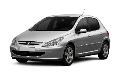 Разборка Peugeot 307