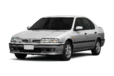 Разборка Nissan Primera в Украине