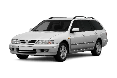 Разборка Nissan Primera в Украине